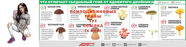 спиды Кукмор