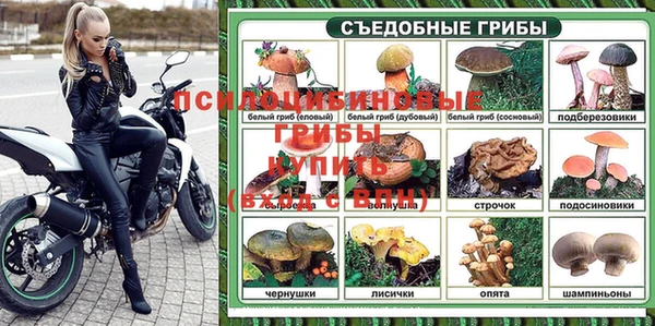 спиды Кукмор