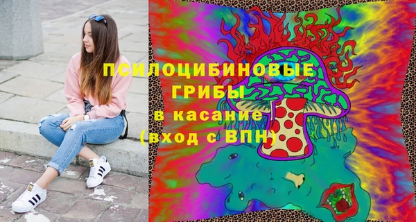 гидра Майский