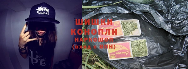 спиды Кукмор