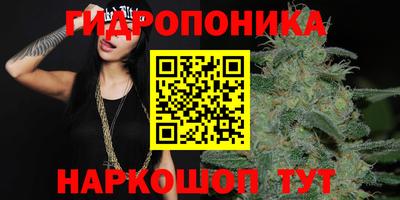 ГАЛЛЮЦИНОГЕННЫЕ ГРИБЫ Апшеронск