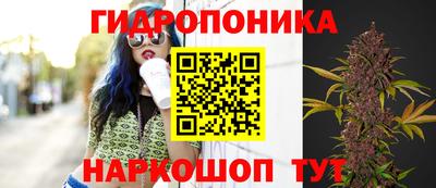 герыч Дубна