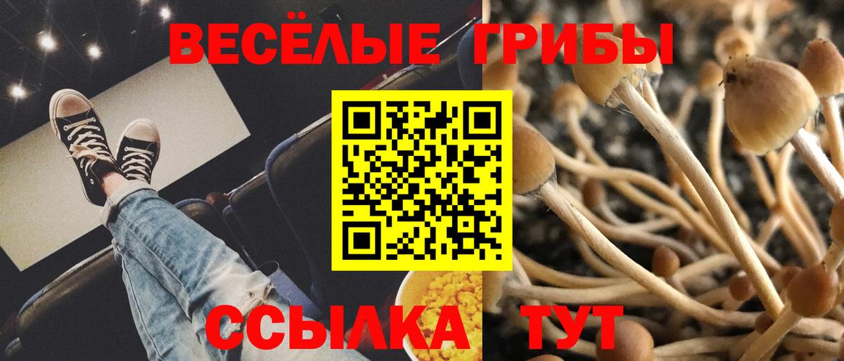 купить закладку  Малоярославец  Галлюциногенные грибы Cubensis  Псилоцибиновые грибы ЛСД 