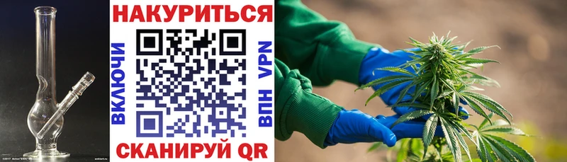 Конопля план Малоярославец